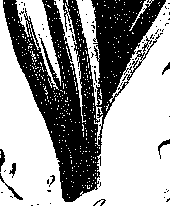 099/099330012400910_1.png