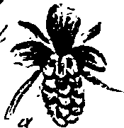 099/099330012400920_0.png