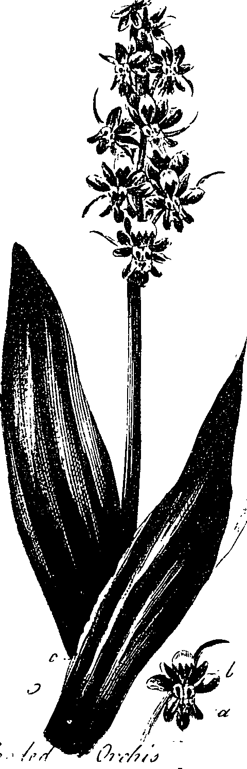 099/099330012400920_1.png