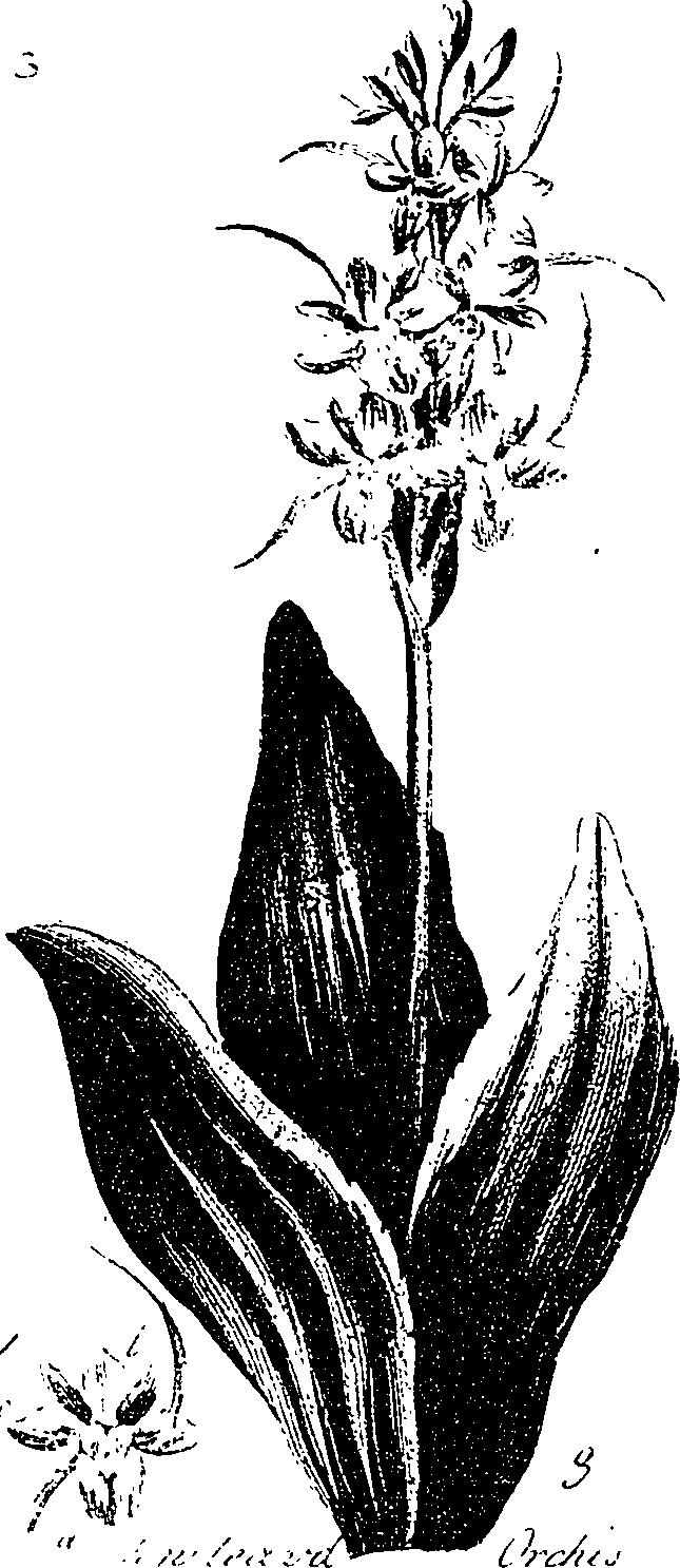 099/099330012400920_2.png