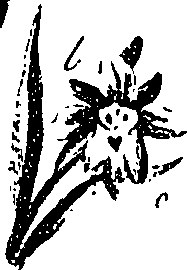 099/099330012400940_0.png