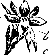 099/099330012400950_0.png