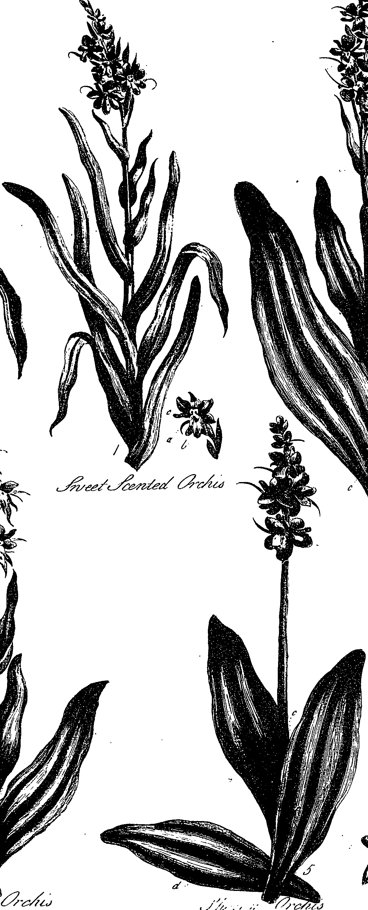 099/099330012400950_1.png