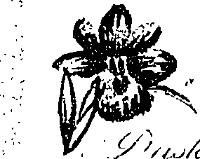 099/099330012400960_0.png