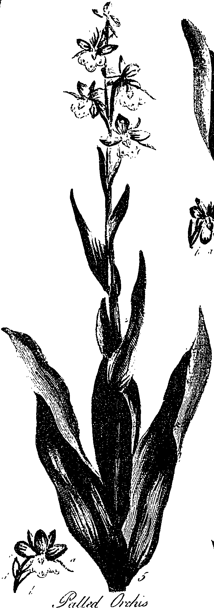 099/099330012400960_1.png