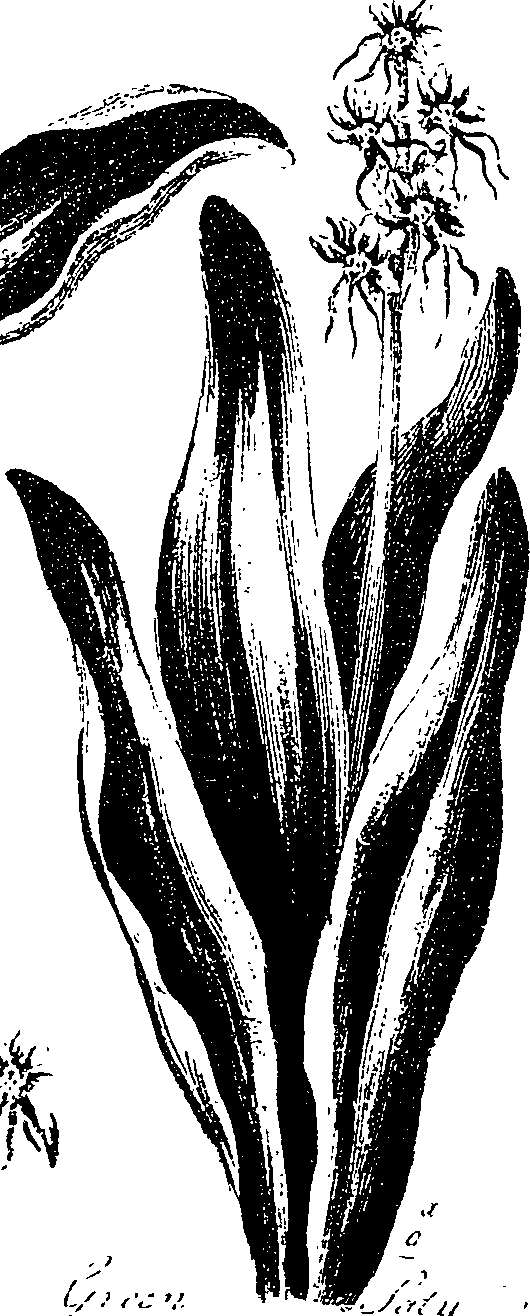 099/099330012400970_0.png