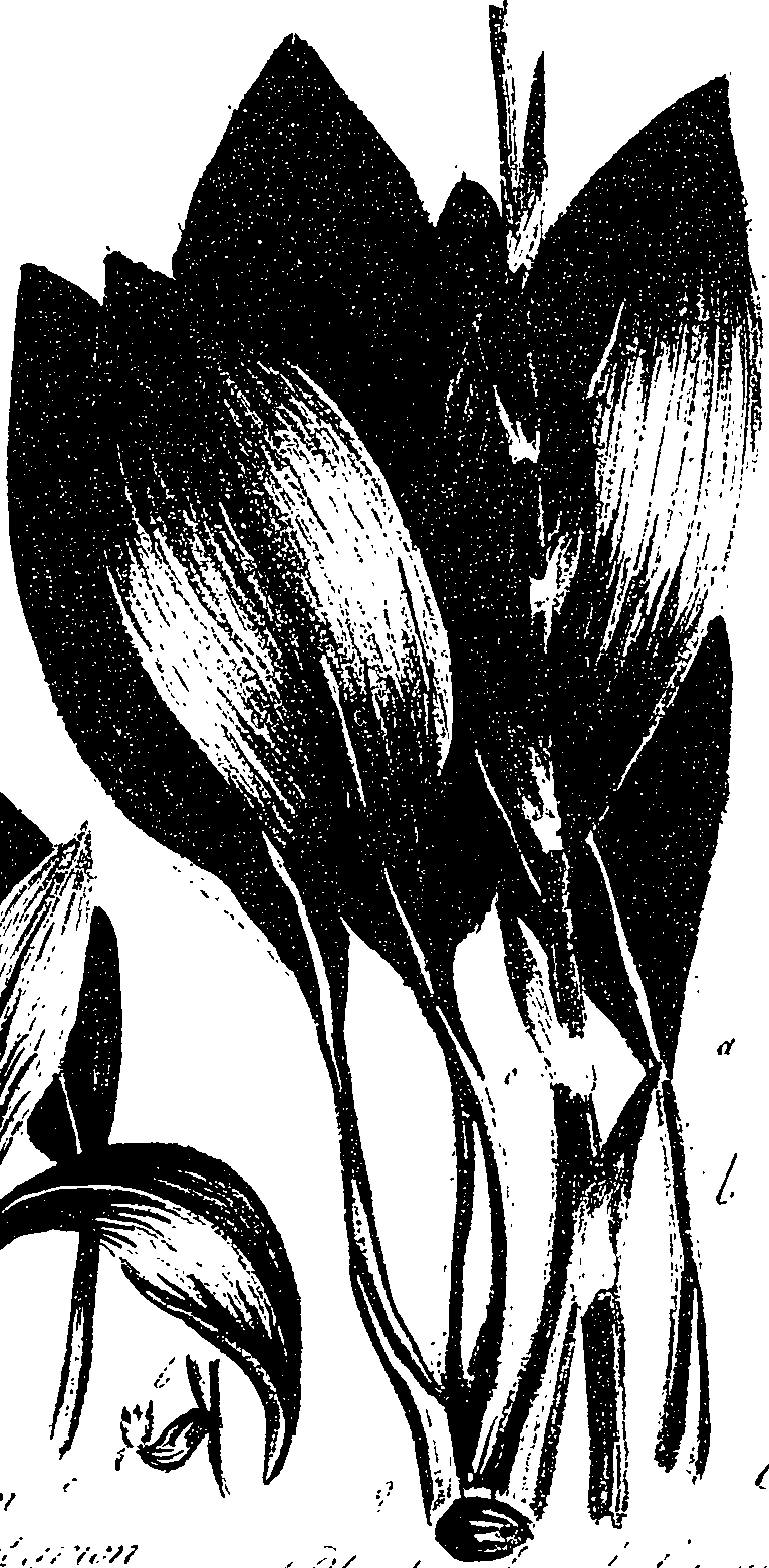 099/099330012400980_0.png