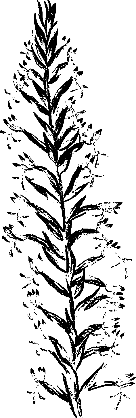 099/099330012400980_1.png