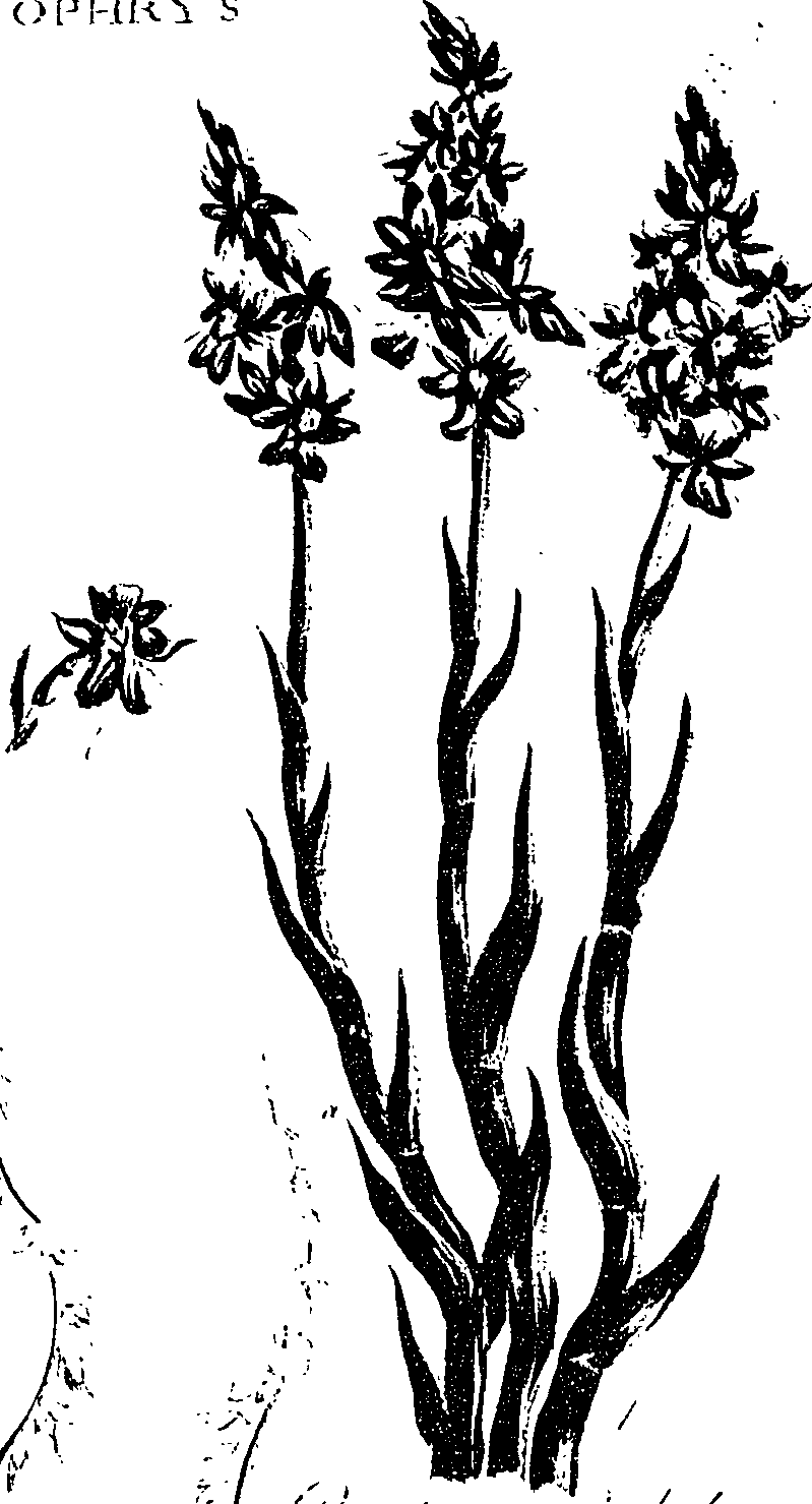 099/099330012400990_1.png