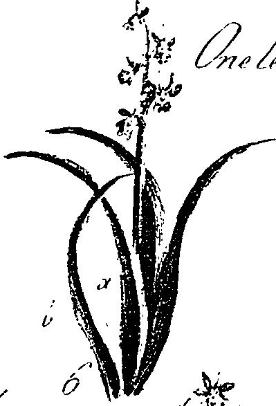 099/099330012401000_0.png