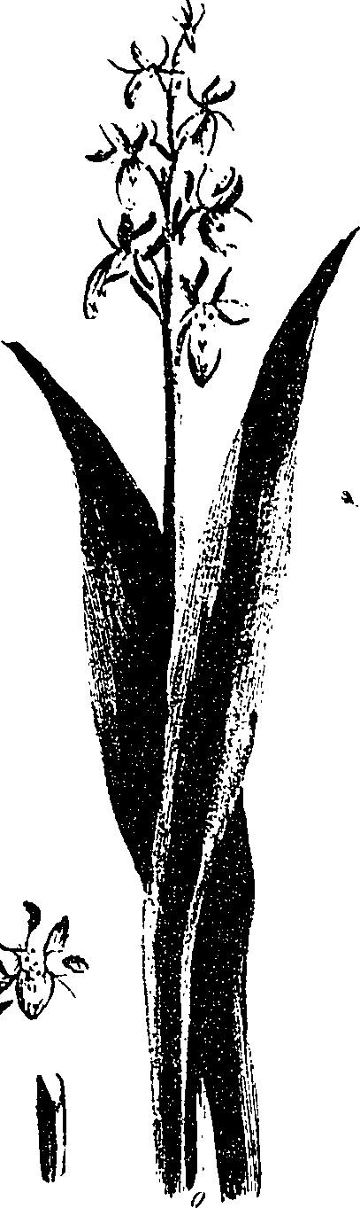 099/099330012401000_1.png