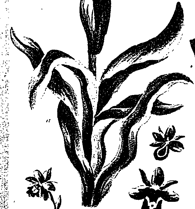 099/099330012401010_0.png
