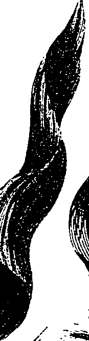 099/099330012401020_0.png