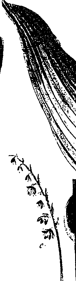 099/099330012401030_0.png