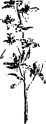 099/099330012401050_0.png