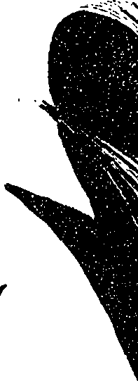 099/099330012401050_2.png
