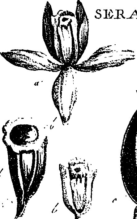 099/099330012401050_3.png