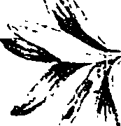 099/099330012401060_0.png
