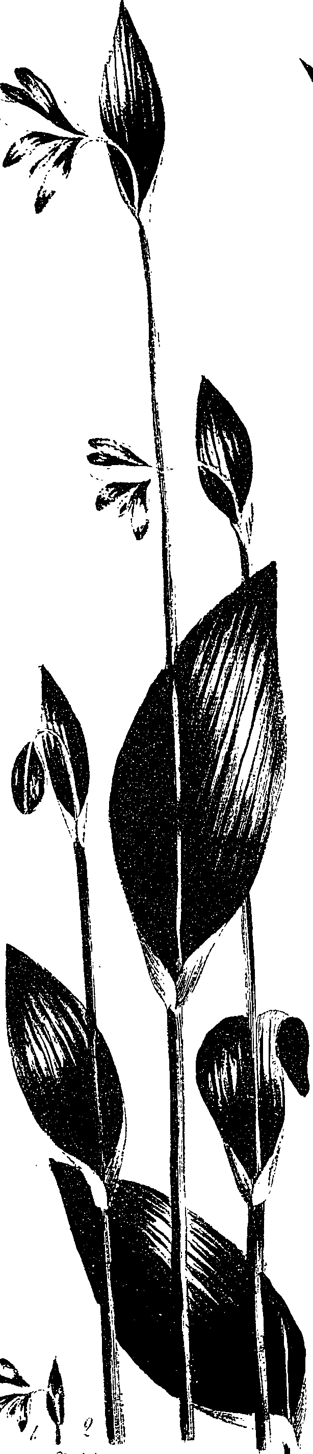 099/099330012401060_1.png