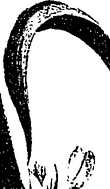 099/099330012401070_0.png