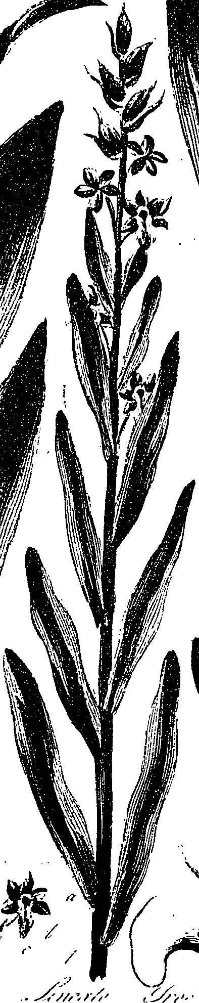 099/099330012401090_0.png