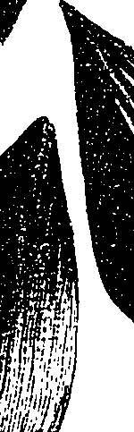 099/099330012401100_0.png