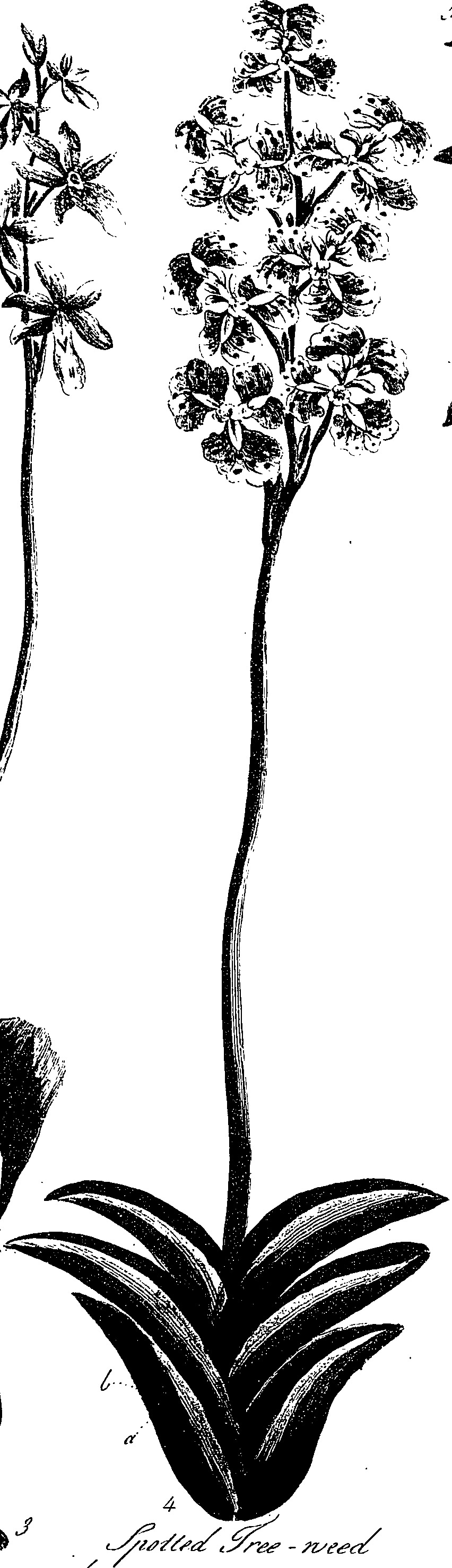 099/099330012401110_0.png