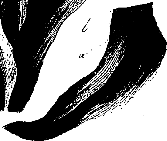 099/099330012401120_0.png