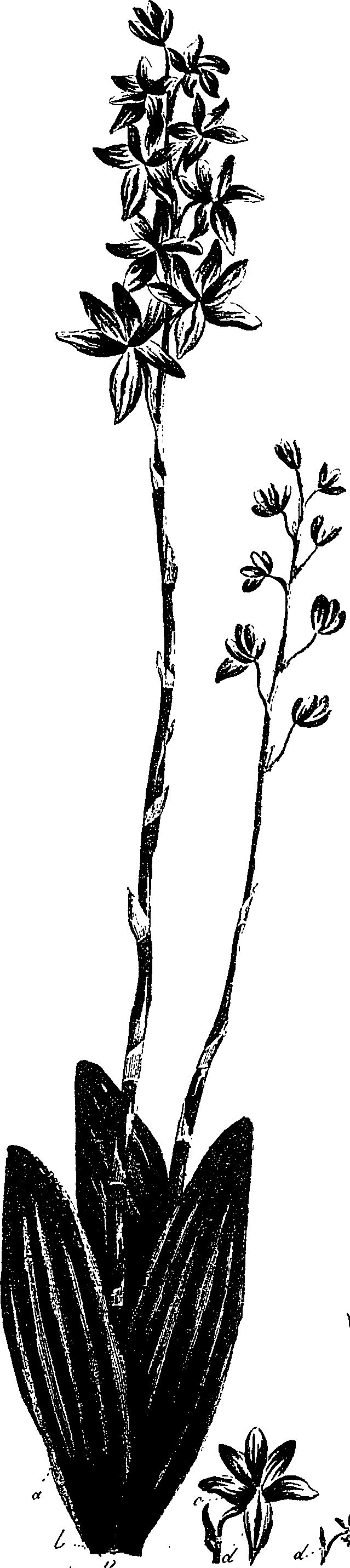 099/099330012401130_0.png