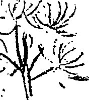 099/099330012401150_0.png