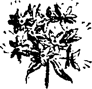 099/099330012401160_0.png