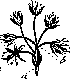 099/099330012401180_0.png