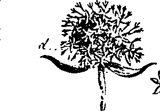 099/099330012401180_1.png