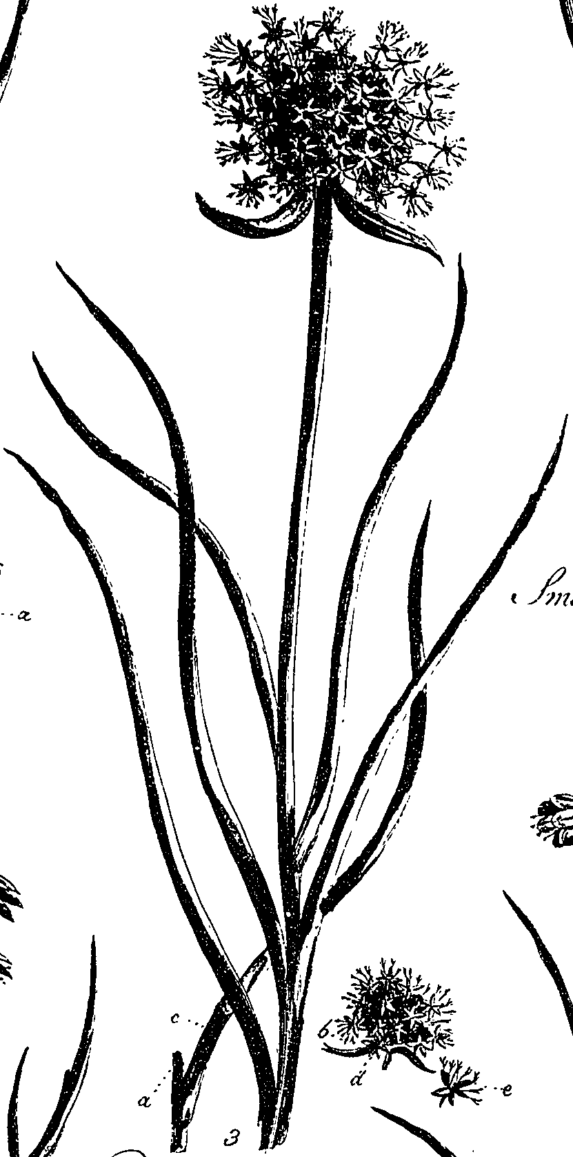 099/099330012401180_2.png