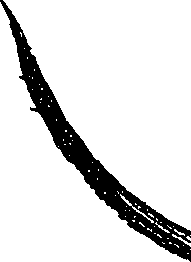 099/099330012401190_0.png