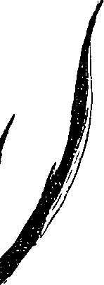099/099330012401190_1.png