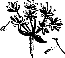 099/099330012401200_0.png
