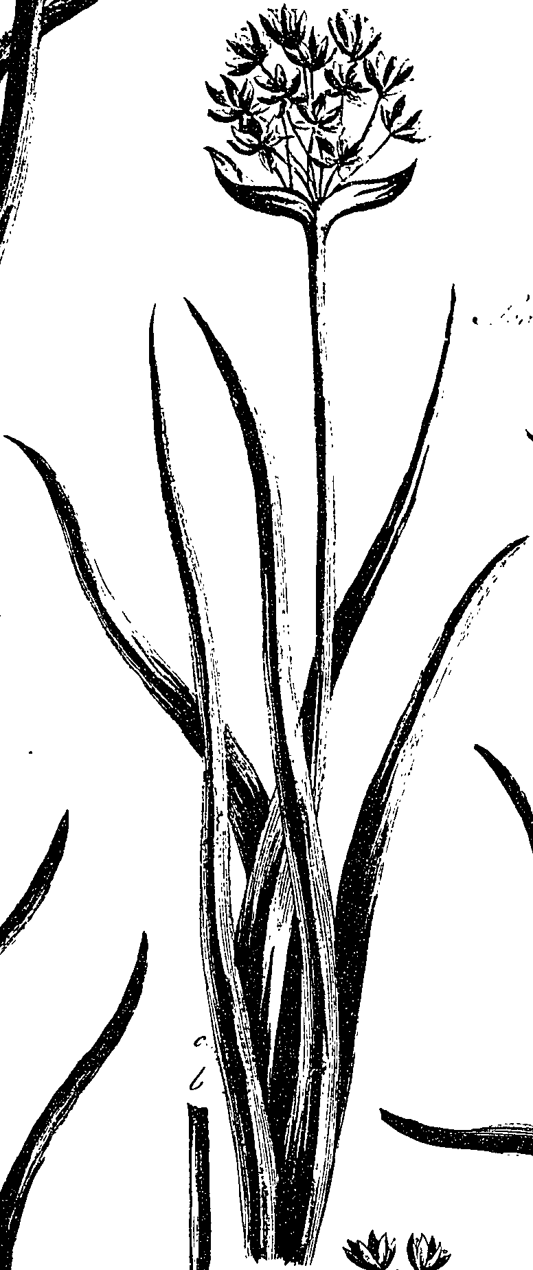 099/099330012401200_1.png