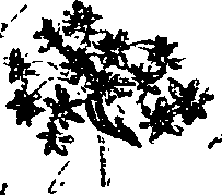 099/099330012401210_0.png