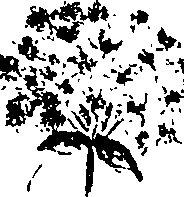 099/099330012401210_1.png