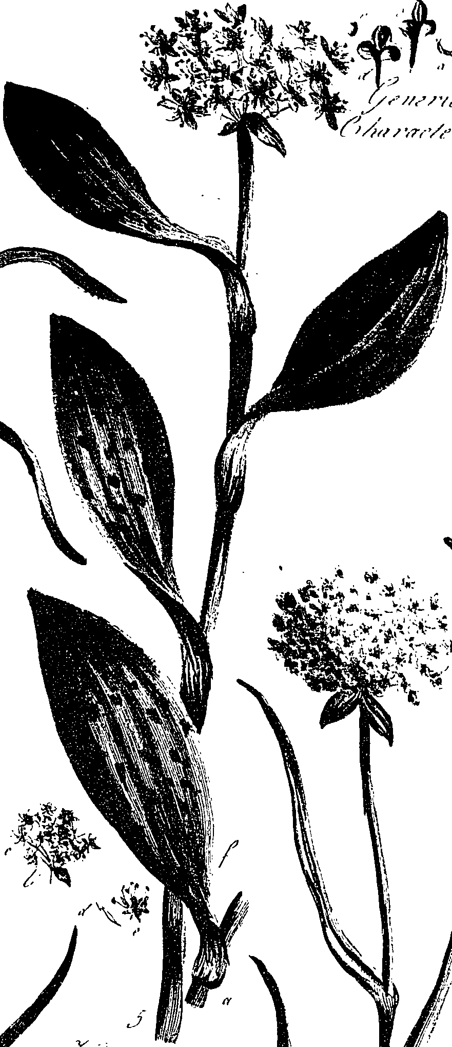 099/099330012401210_2.png