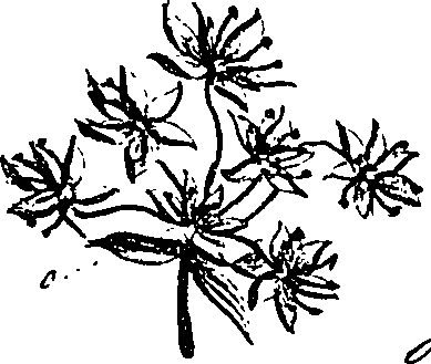 099/099330012401220_0.png