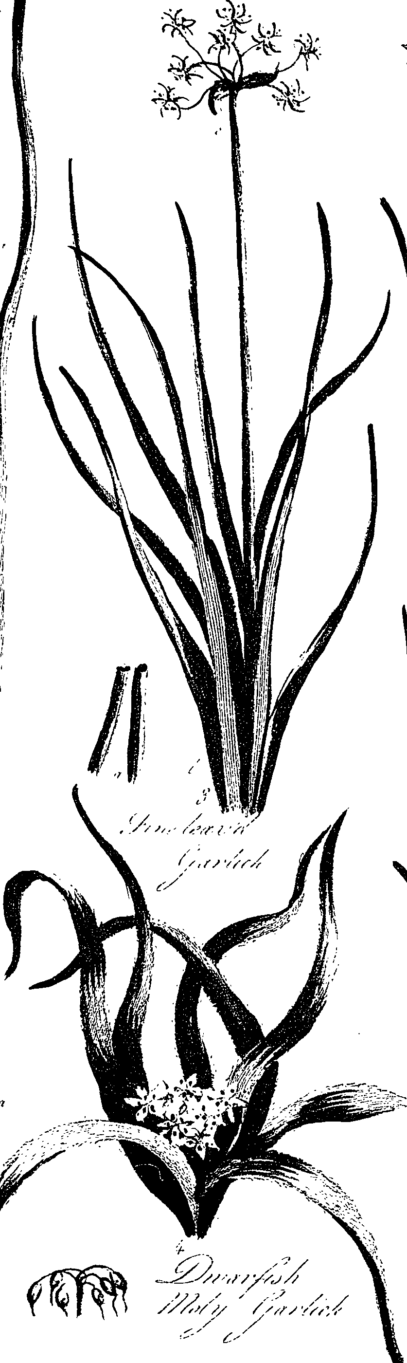 099/099330012401230_0.png