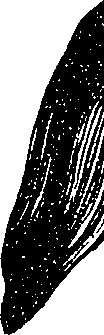 099/099330012401250_0.png