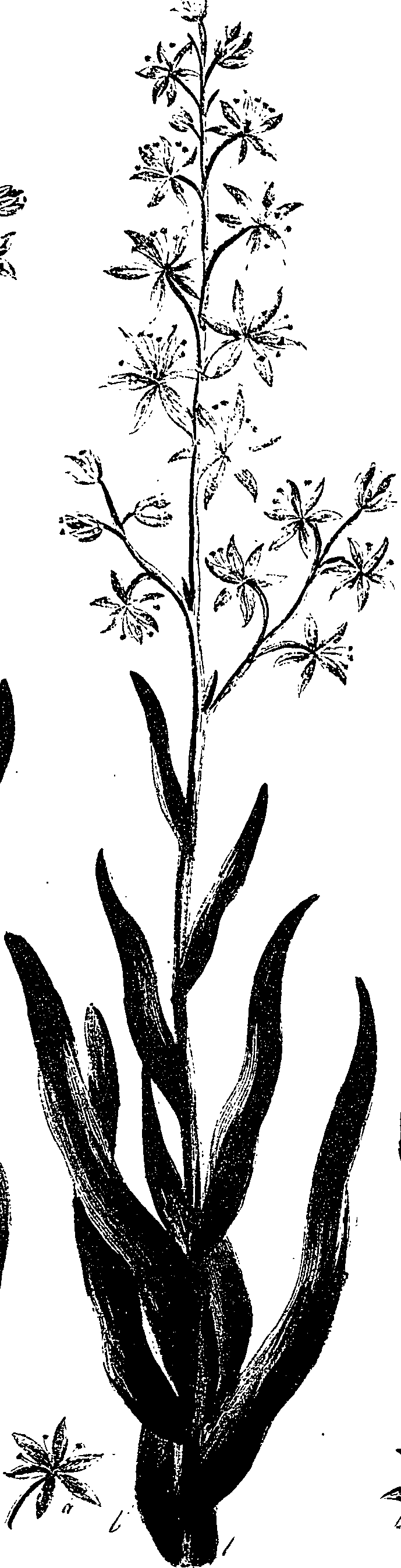 099/099330012401260_0.png