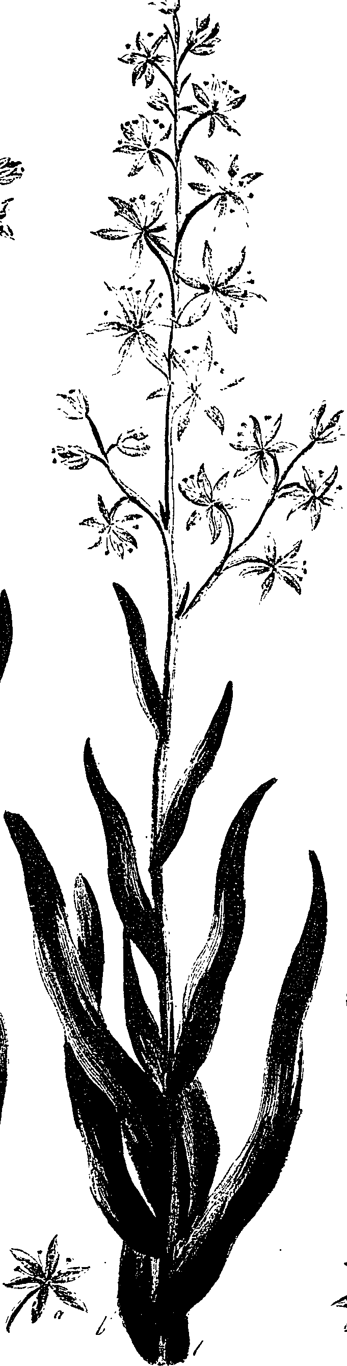 099/099330012401270_0.png
