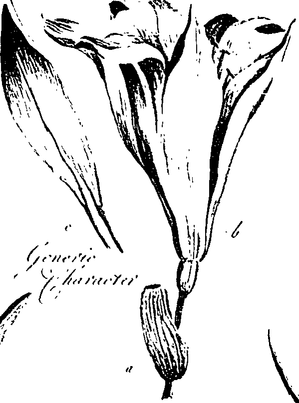 099/099330012500640_1.png