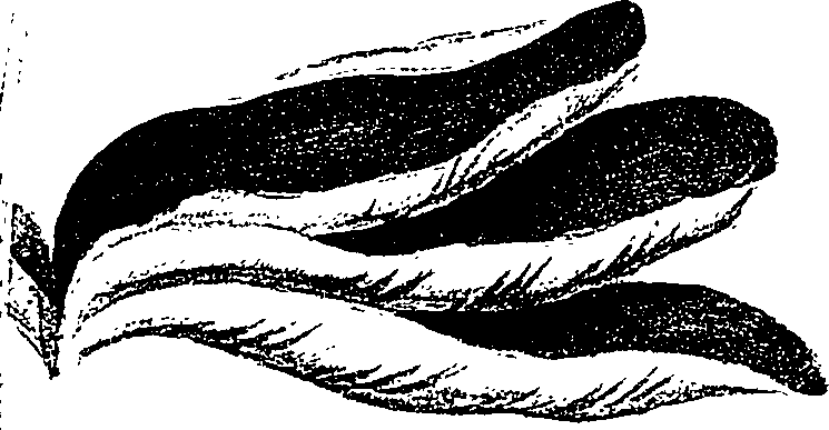 099/099330012500660_0.png