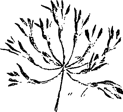 099/099330012500660_1.png