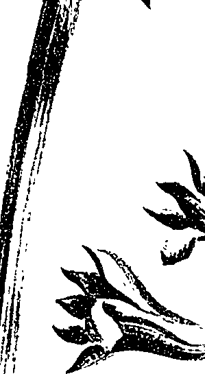 099/099330012500660_2.png